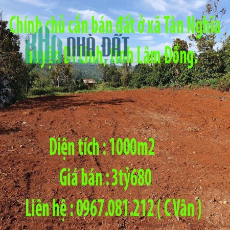 Chính chủ cần bán đất ở xã Tân Nghĩa, huyện Dĩ Linh, tỉnh Lâm Đồng.