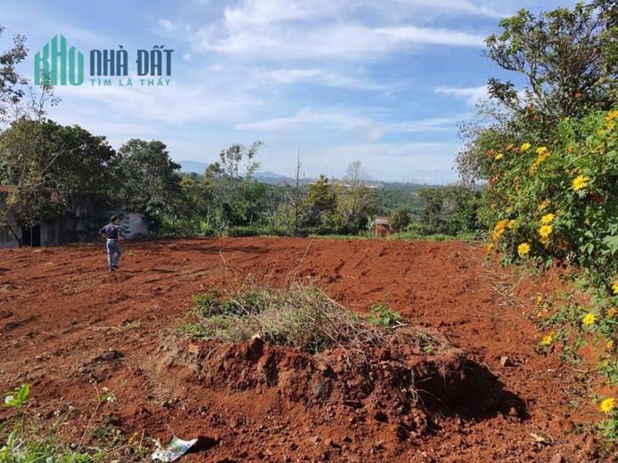 Chính chủ cần bán đất ở xã Tân Nghĩa, huyện Dĩ Linh, tỉnh Lâm Đồng.