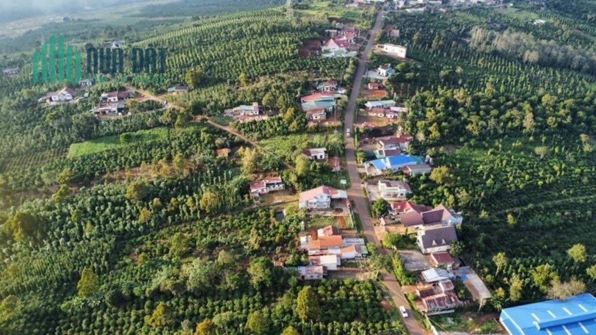 Chính chủ cần bán đất ở xã Tân Nghĩa, huyện Dĩ Linh, tỉnh Lâm Đồng.