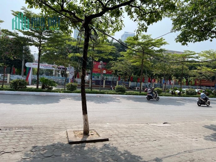 Chính chủ bán nhà mặt phố Nguyễn Phong Sắc Phường Dịch Vọng Hậu, Cầu Giấy, Hà Nội