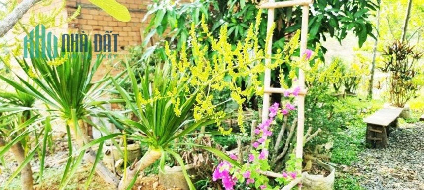 Cần bán một khu vườn xinh đẹp kết hợp view đồi trập trùng đẹp như Bảo Lộc + view hồ Trị An siêu đẹp
