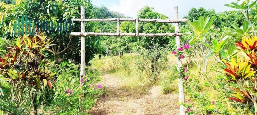 Cần bán một khu vườn xinh đẹp kết hợp view đồi trập trùng đẹp như Bảo Lộc + view hồ Trị An siêu đẹp