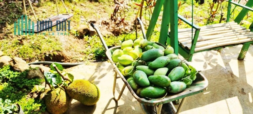 Cần bán một khu vườn xinh đẹp kết hợp view đồi trập trùng đẹp như Bảo Lộc + view hồ Trị An siêu đẹp