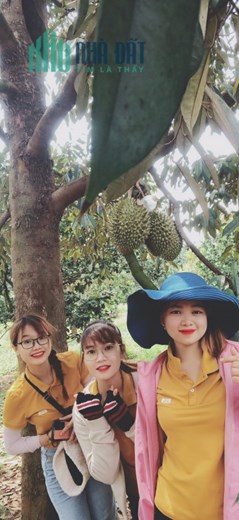 Tìm gấp 500ae đam mê kiếm tiền và đam mê bán hàng, thu nhập không dưới 30tr/tháng
