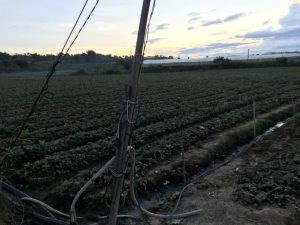 Cần Bán Lô Đất Vị Trí Đẹp Tại Tỉnh Lâm Đồng ( Gần Cầu Ông Thiều 500m2)