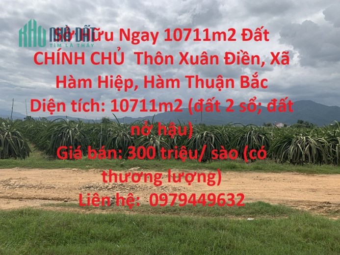 Sở Hữu Ngay 10711m2 Đất CHÍNH CHỦ  Thôn Xuân Điền, Xã Hàm Hiệp, Hàm Thuận Bắc