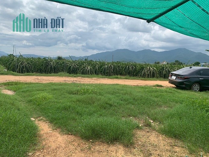 Sở Hữu Ngay 10711m2 Đất CHÍNH CHỦ  Thôn Xuân Điền, Xã Hàm Hiệp, Hàm Thuận Bắc