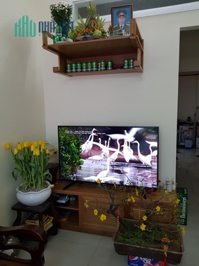 Chính chủ cho thuê nhà nguyên căn mặt tiền số 15A Trần Quốc Toản, phường Hiệp Phú, Q9