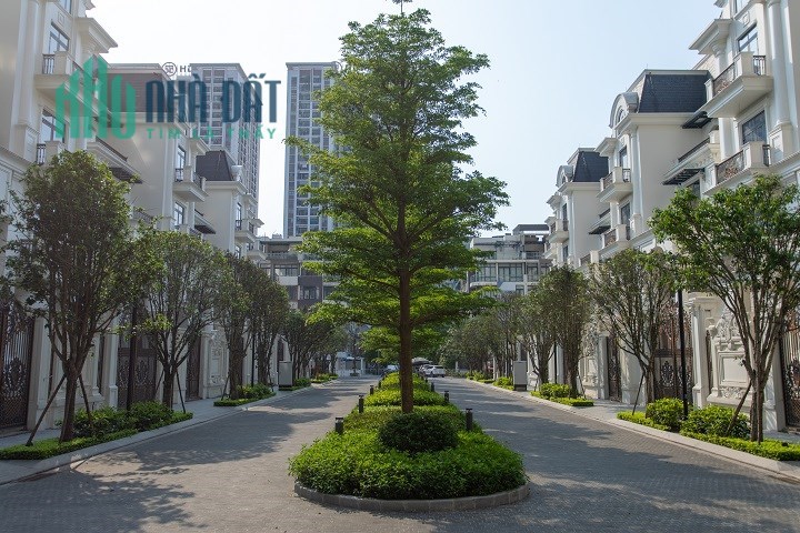 Biệt thự đơn lập cho Đại gia, cách Công viên to nhất Cầu Giấy 300m