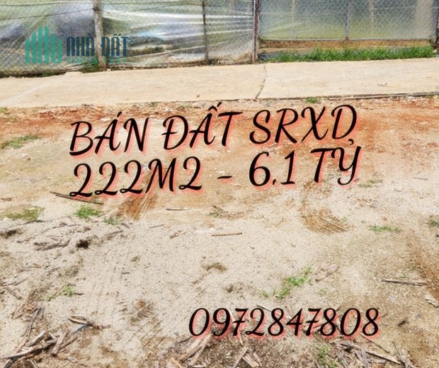 Bán đất sổ riêng xây dựng 222m2, đườngTrần Quang Khải, Phường 8, Đà Lạt