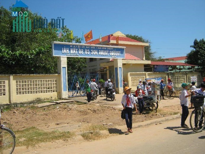 CHÍNH CHỦ Cần Bán Gấp Lô Đất Lúa Mặt Tiền Đường Nhựa Phùng Hưng, Thị Xã La Gi