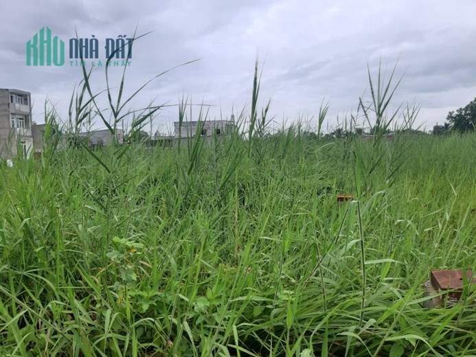 ( Duy Nhất) 1/ ngắn đường Hà Duy Phiên Củ Chi 450m2 chỉ 7 tỷ