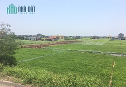 Bán đất nền Biển Quất Lâm, Nam Định giá cực rẻ