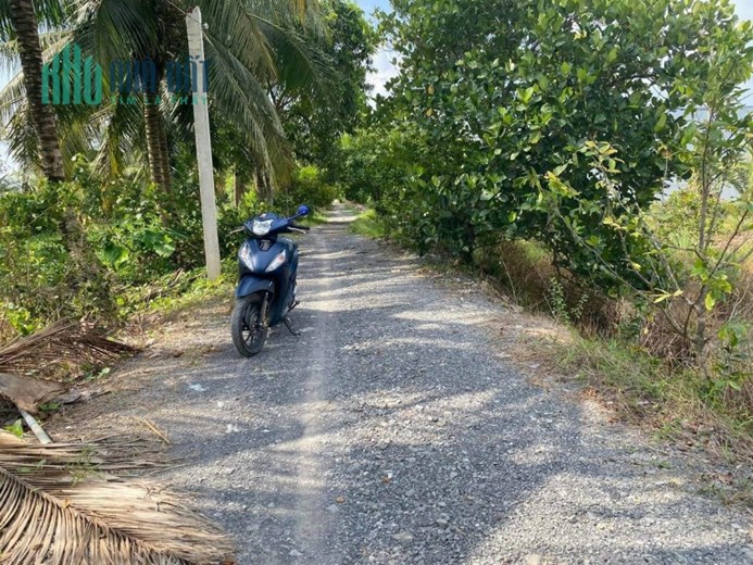 Lô đất QUÁ RẺ cho anh chị em xây nhà vườn 10x100 m2, xã Hựu Thạnh, huyện Đức Hòa