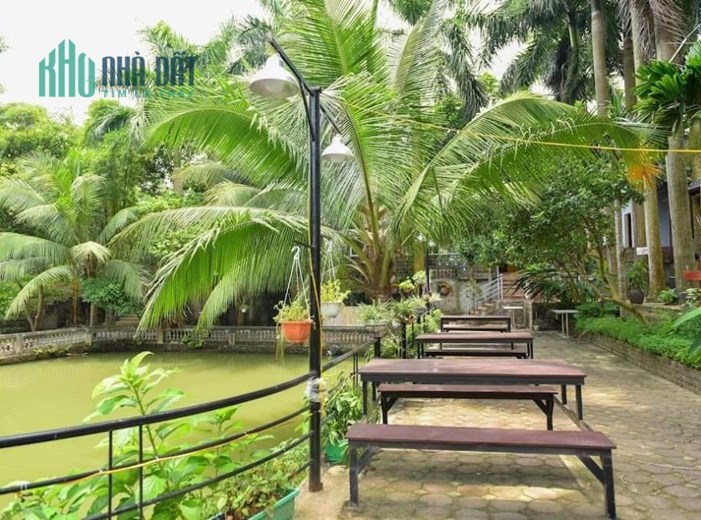 💥 Biệt Phủ Sân vườn Cầu Đen, Phú Cường, Sóc Sơn. 9000m2 MT 200m, Chỉ 160 Tỷ 💥