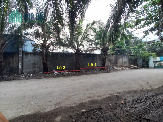 Bán Gấp Đất Q12- 100m2(4x25)- Hẻm 8m Quốc lộ 1A, Q12- Chỉ 3.x tỷ