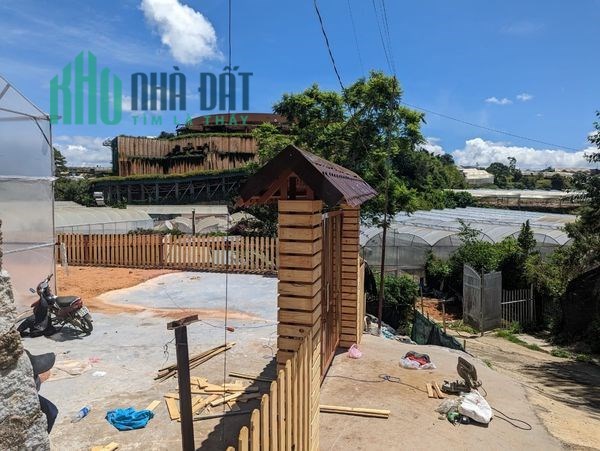 BÁN ĐẤT 300M GIÁ 3,5 TỶ SỔ RIÊNG