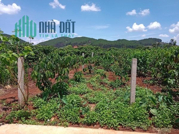 ĐẤT 1363M2 % XÂY DỰNG GIÁ 4 TỶ