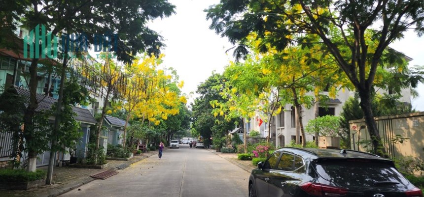 Bán Lền Kề Khu A Gleximco Hàng Xóm Vinhome Smart city 8xxx
