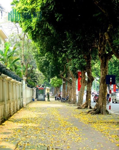 Bán tòa đồ sộ mặt phố Trần Hưng Đạo Quận Hoàn Kiếm, giá thương lượng.