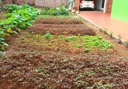 CỰC HOT - Bán đất Ngọc Trì, Thạch Bàn, Long Biên 60m. Giá 6.5 tỷ