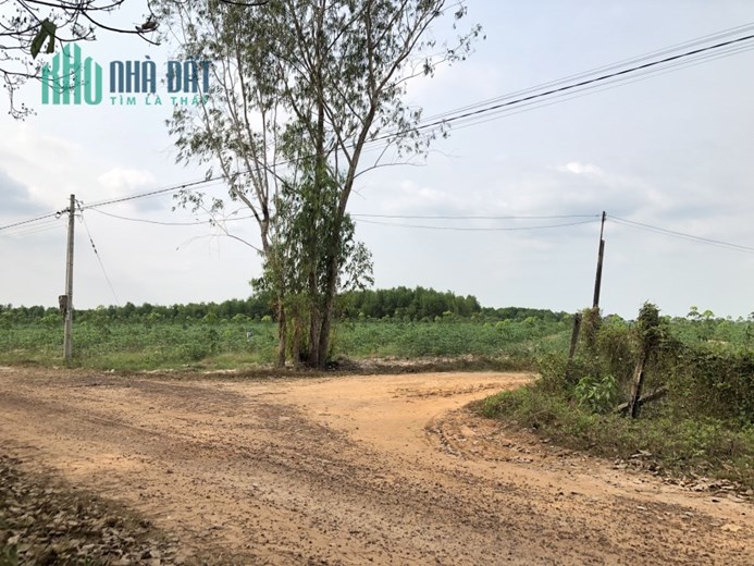 TUỔI XẾ CHIỀU, KHÔNG CÓ LƯƠNG HƯU, ĐÀNH PHẢI BÁN MIẾNG ĐẤT CẢ ĐỜI TÂM HUYẾT.