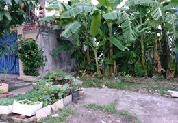 Cho thuê đất 144m2 mặt tiền đường Công Lý Bình Thọ