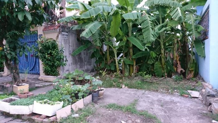Cho thuê đất 144m2 mặt tiền đường Công Lý Bình Thọ