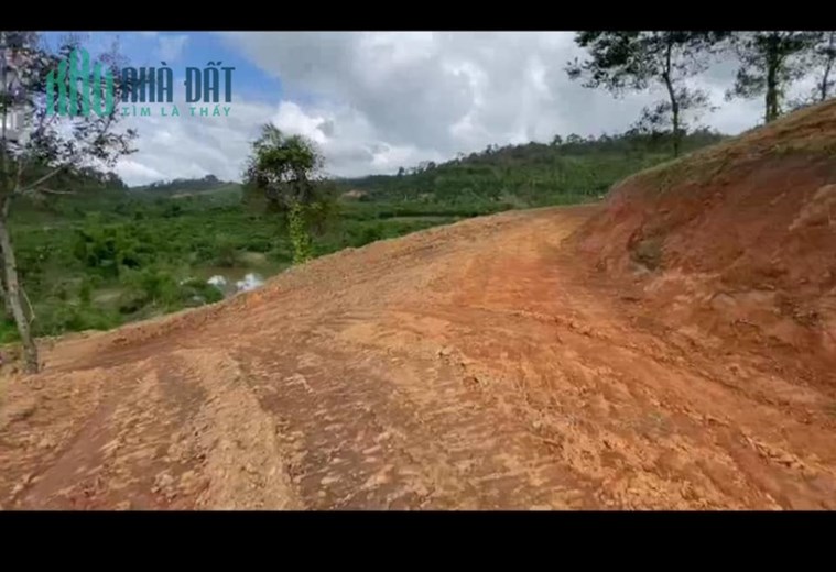 ( Giảm giá ) Bán gấp 4.5ha đất rộng view đẹp tại Tà Năng, Đức Trọng, Lâm Đồng Giá 6 tỷ -> 4.5 tỷ