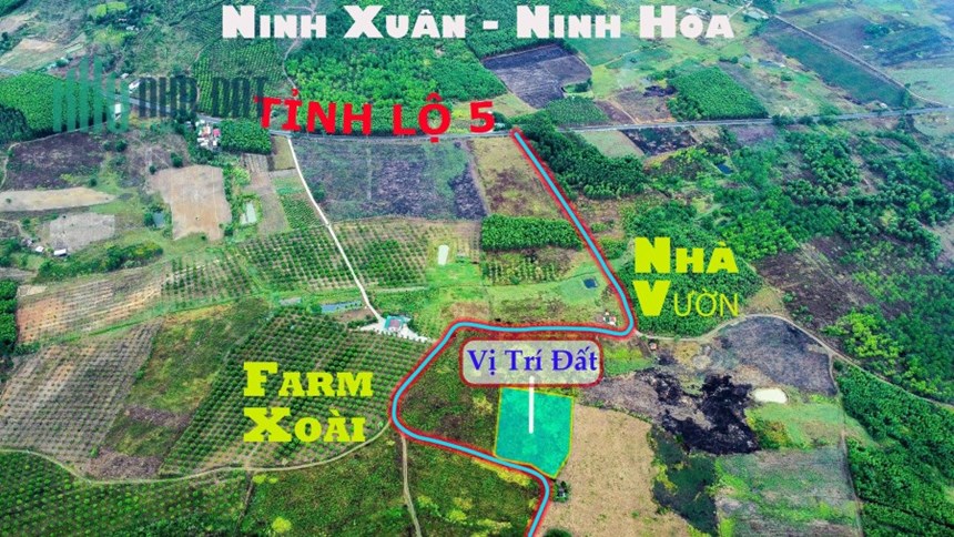 Mở bán 5 lô sổ hồng công chứng ở Ninh Xuân chỉ 268tr 1 lô