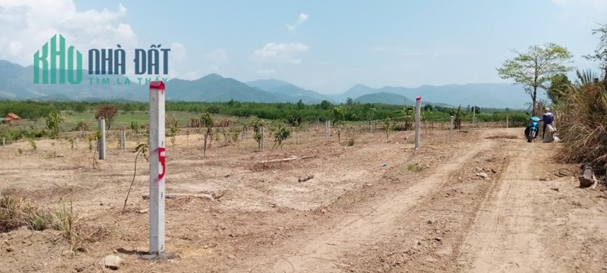 Mở bán 5 lô sổ hồng công chứng ở Ninh Xuân chỉ 268tr 1 lô