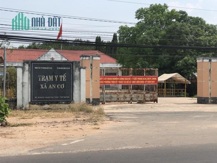 Đất Nông Nghiệp Thích Hợp Trồng Nho Kẹo - Thu Về Lợi Nhuận Cao