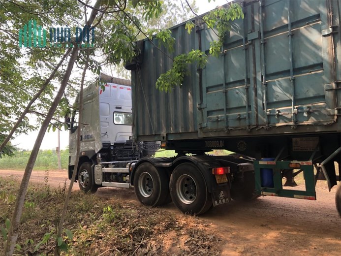 Đất Nông Nghiệp Thích Hợp Trồng Nho Kẹo - Thu Về Lợi Nhuận Cao