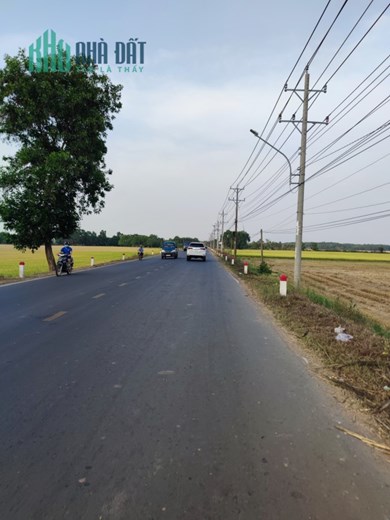 Đất Nông Nghiệp Chất Lượng - Phát Triển Khu Vườn Tiềm Năng