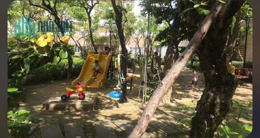 Căn chung cư Nest Home full nội thất giá rẻ