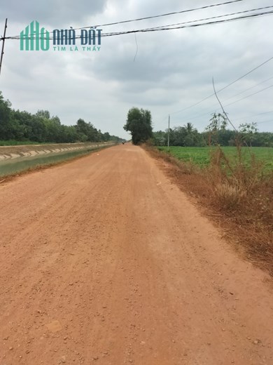 CẦN BÁN GẤP