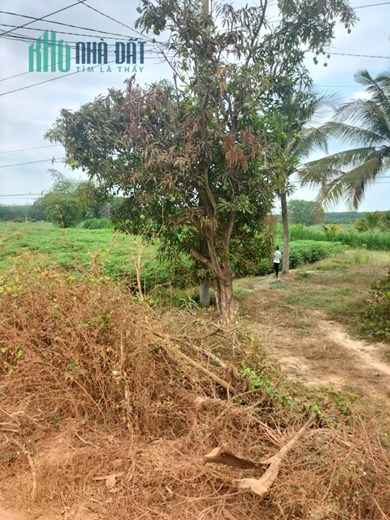 CẦN BÁN GẤP