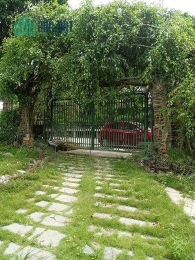 Cần bán 10.000m2 đất TMDV 50 năm tại mặt đường Huyện Ninh Giang, Tỉnh Hải Dương