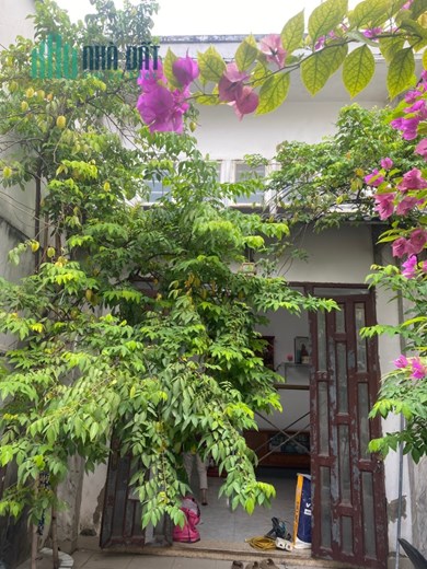 Cho Thuê Nhà Đường Lê Tấn Bê Phường An Lạc, Quận Bình Tân, Tp Hồ Chí Minh
