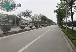 Bán gấp đất Trịnh Văn Bô - ô tô - KD - tiềm năng tăng giá mạnh. DT 300m2 x nhỉnh 20 tỷ