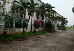 Bán 4300m2 đất cụm CN Ninh Hiệp, Gia Lâm, HN. Sẵn nhà xưởng dt 2500m2