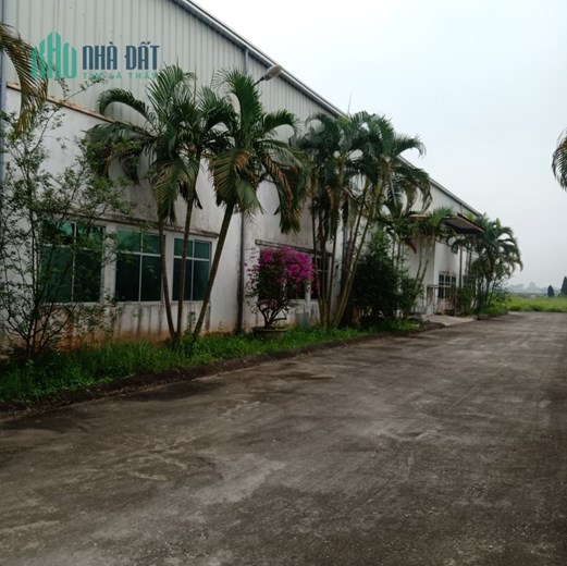 Bán 4300m2 đất cụm CN Ninh Hiệp, Gia Lâm, HN. Sẵn nhà xưởng dt 2500m2