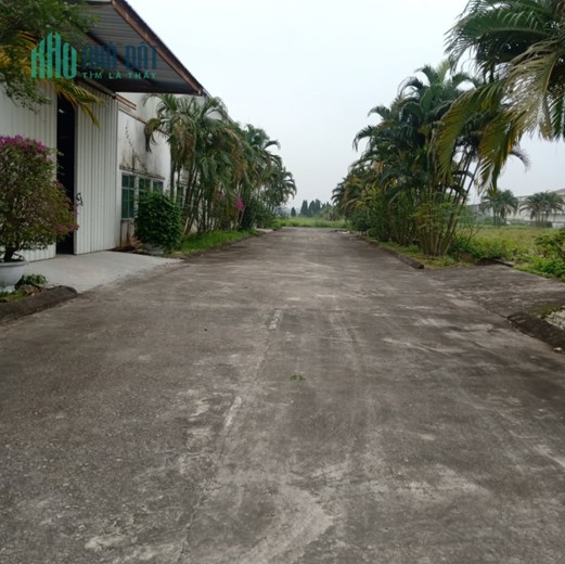 Bán 2ha đất công nghiệp mặt đường 39A Kim Động, Hưng Yên. Sẵn 3000m2 nhà xưởng