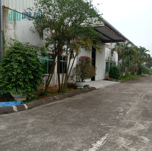 Bán 2ha đất công nghiệp mặt đường 39A Kim Động, Hưng Yên. Sẵn 3000m2 nhà xưởng