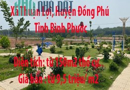 ĐẤT NỀN TRUNG TÂM HÀNH CHÍNH MỚI Xã Thuận Lợi, Huyện Đồng Phú, Tỉnh Bình Phước