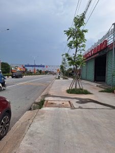 Chính Chủ Cần Bán đất Diện Tích Rộng tại Bình Dương