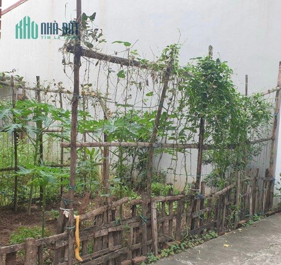 Hot- Đất Phân lô- Đường rộng- Ô tô vào đất Ngũ Hiệp Thanh Trì dt 50m giá chỉ 3 tỷ.