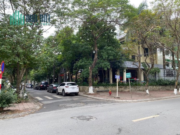 💥 Biệt thự VIP Làng Quốc tế Thăng Long, Cầu Giấy, 665m2 4T MT 50m, Chỉ 265 Tỷ 💥
