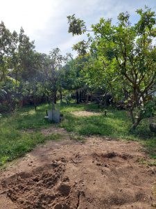 Chính Chủ Cần Bán Lô Đất Vị Trí Đẹp Tại Tây Ninh.