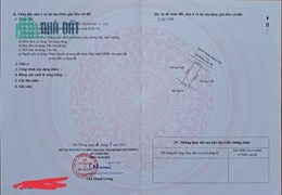 Đất Chính Chủ Phường Lãm Hà, Kiến An, Hải Phòng -  Vị Trí Đẹp – Giá Đầu Tư